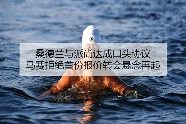 桑德兰与派尚达成口头协议 马赛拒绝首份报价转会悬念再起 - FBSPORTS